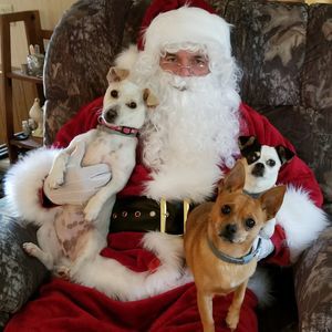 Meet your Posher, Vanessa n